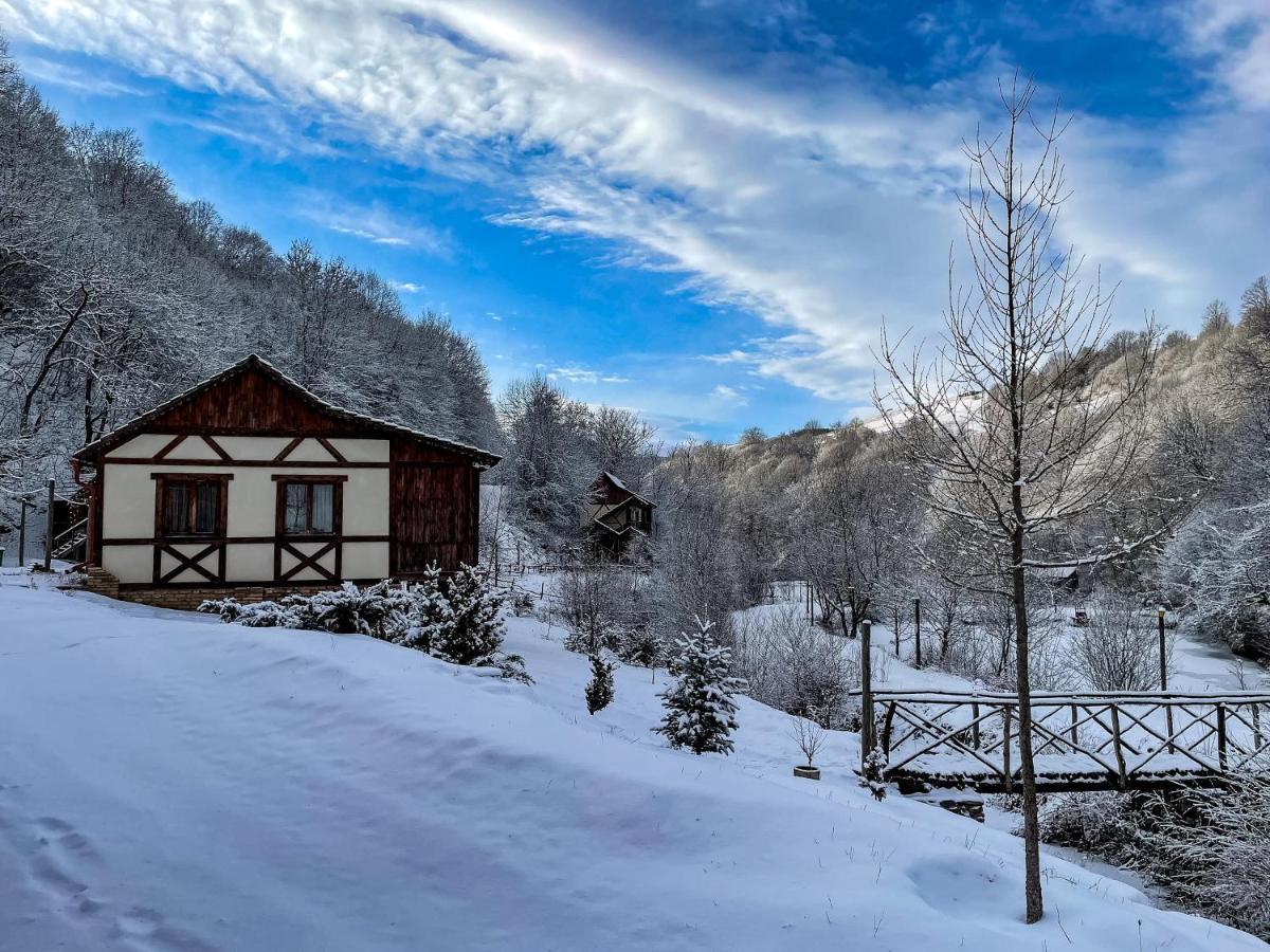 Ecokayan Dilijan Resort Hotel Eksteriør billede