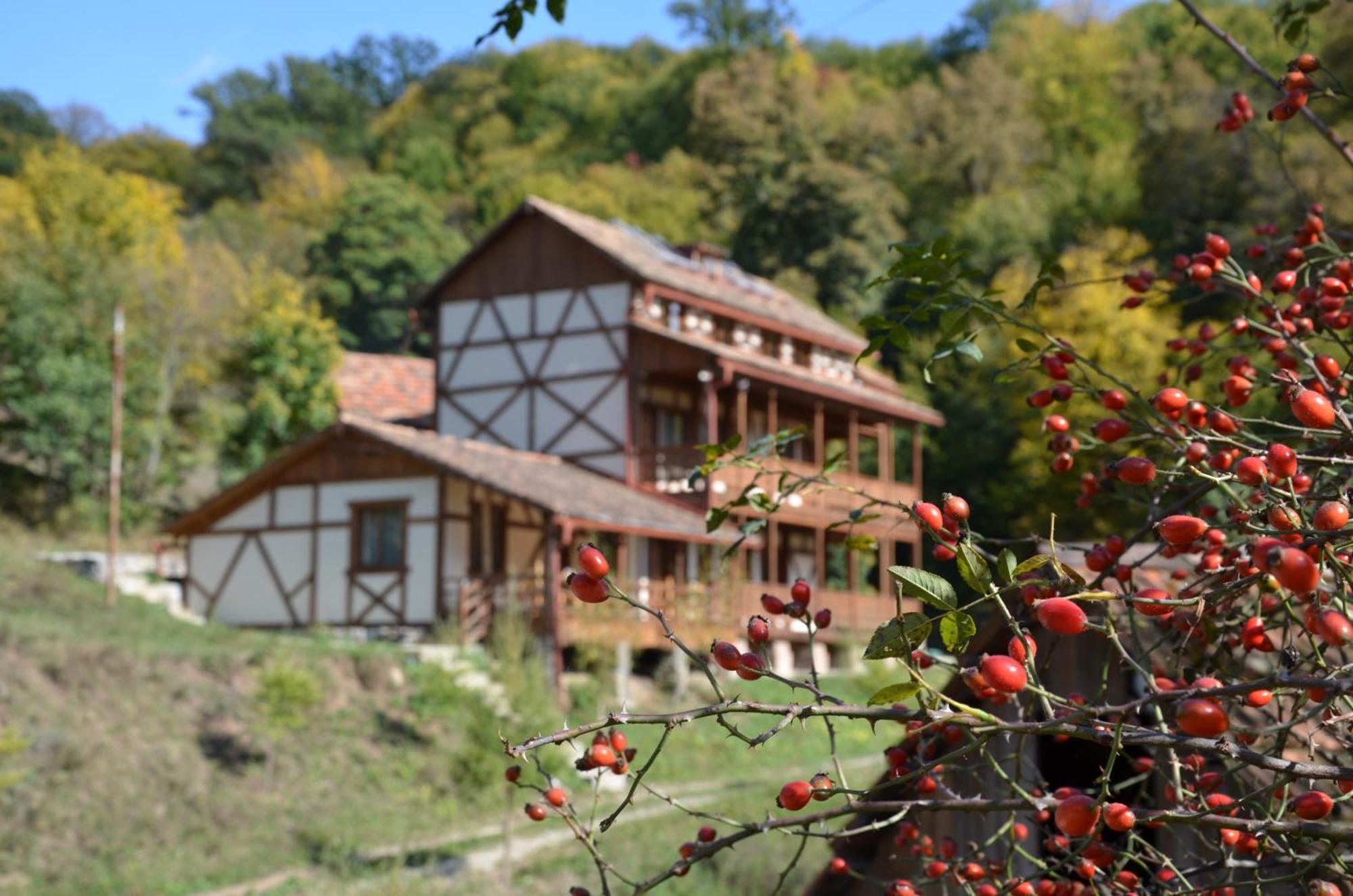 Ecokayan Dilijan Resort Hotel Eksteriør billede