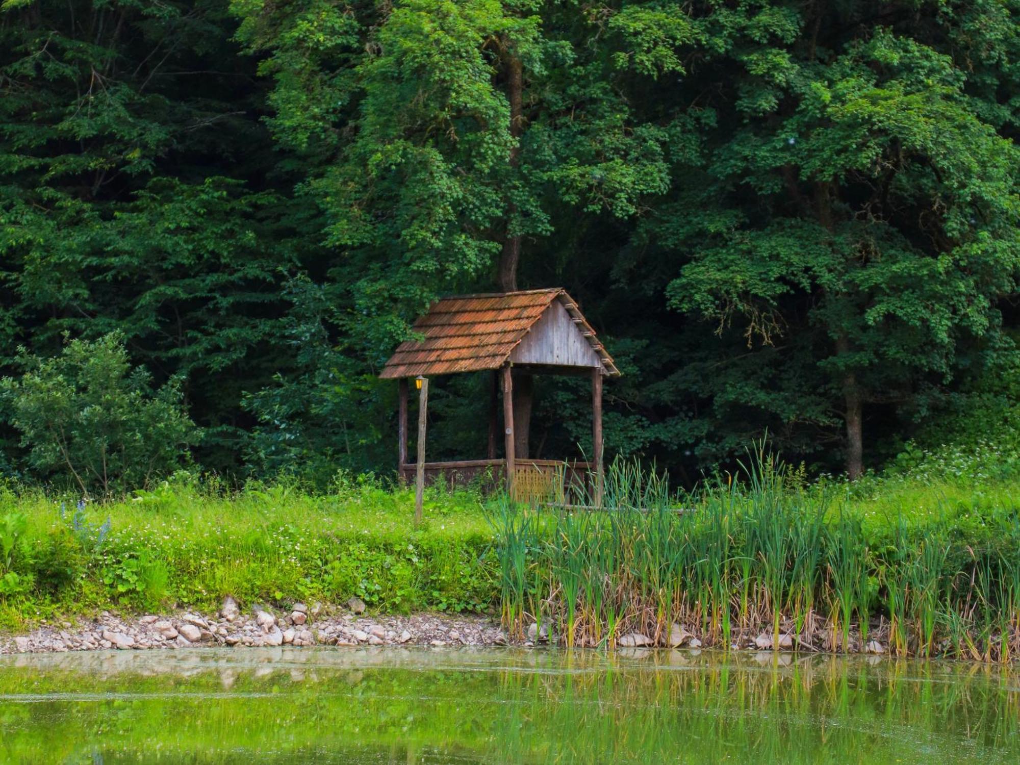 Ecokayan Dilijan Resort Hotel Eksteriør billede