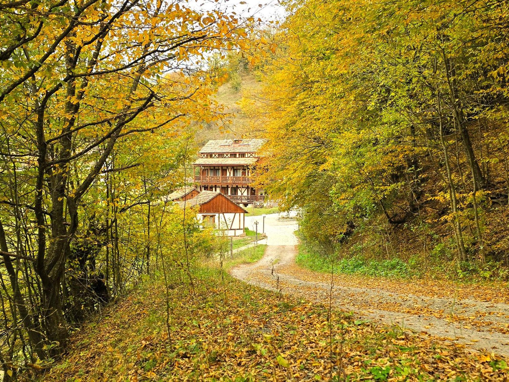 Ecokayan Dilijan Resort Hotel Eksteriør billede