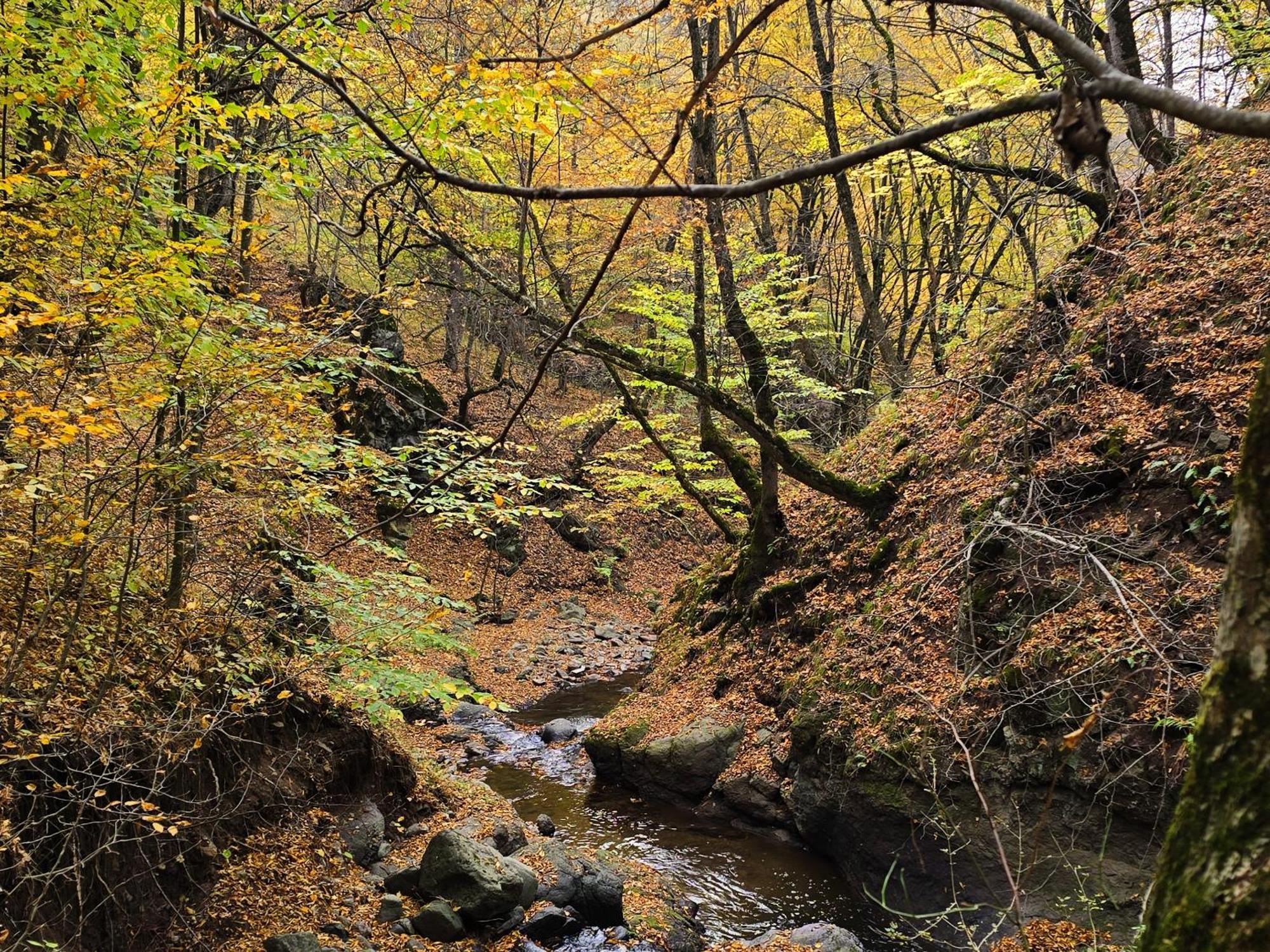 Ecokayan Dilijan Resort Hotel Eksteriør billede